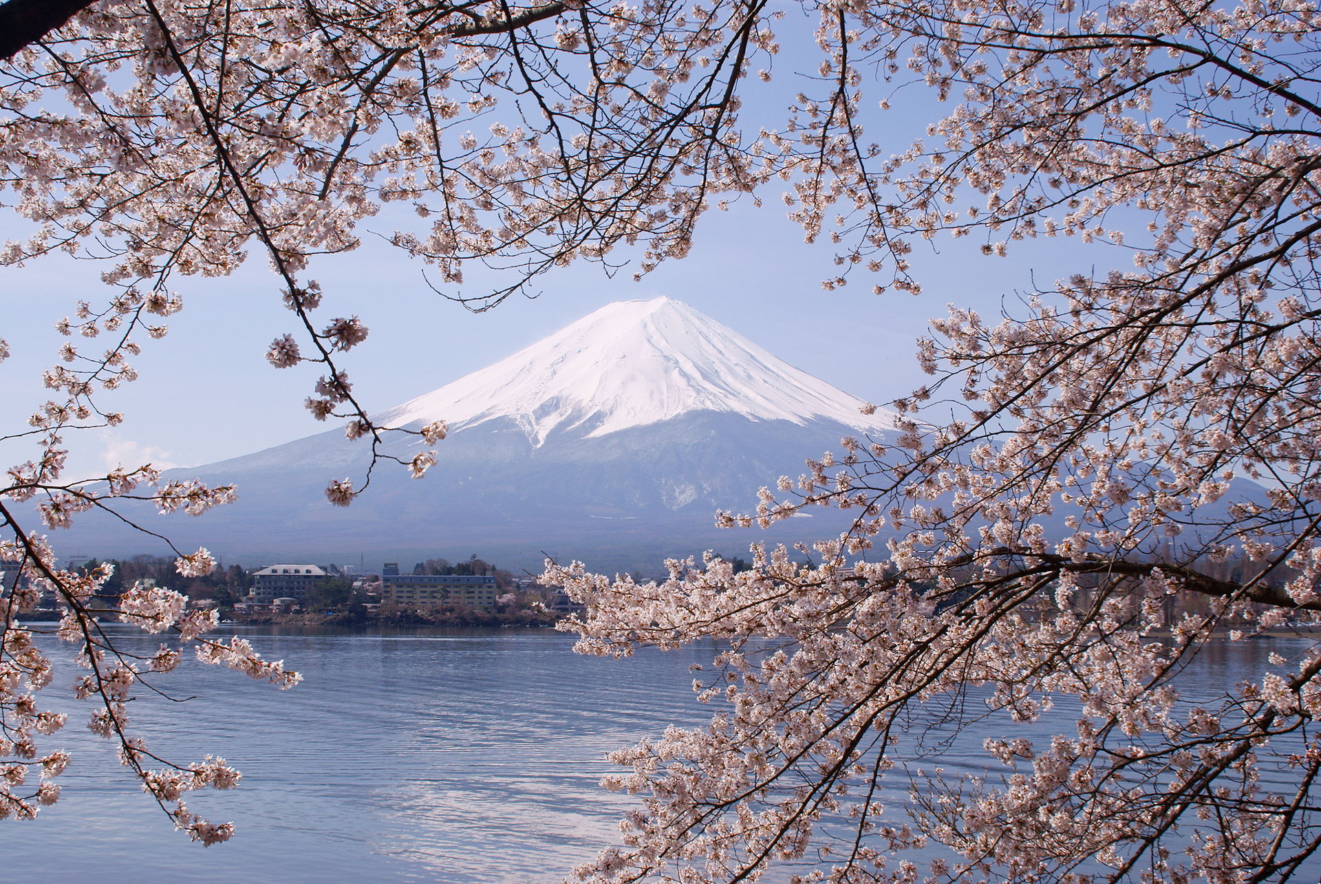 Japón